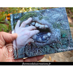Livre "Images de pierre,...