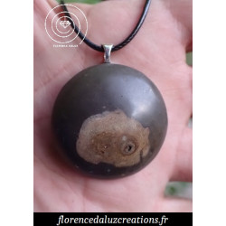 Septaria origine France