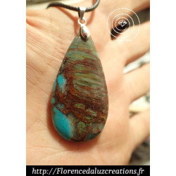 Chrysocolle USA