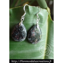 Gneiss avec inclusion de...