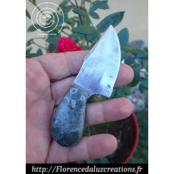 Variolite ou "pierre des...